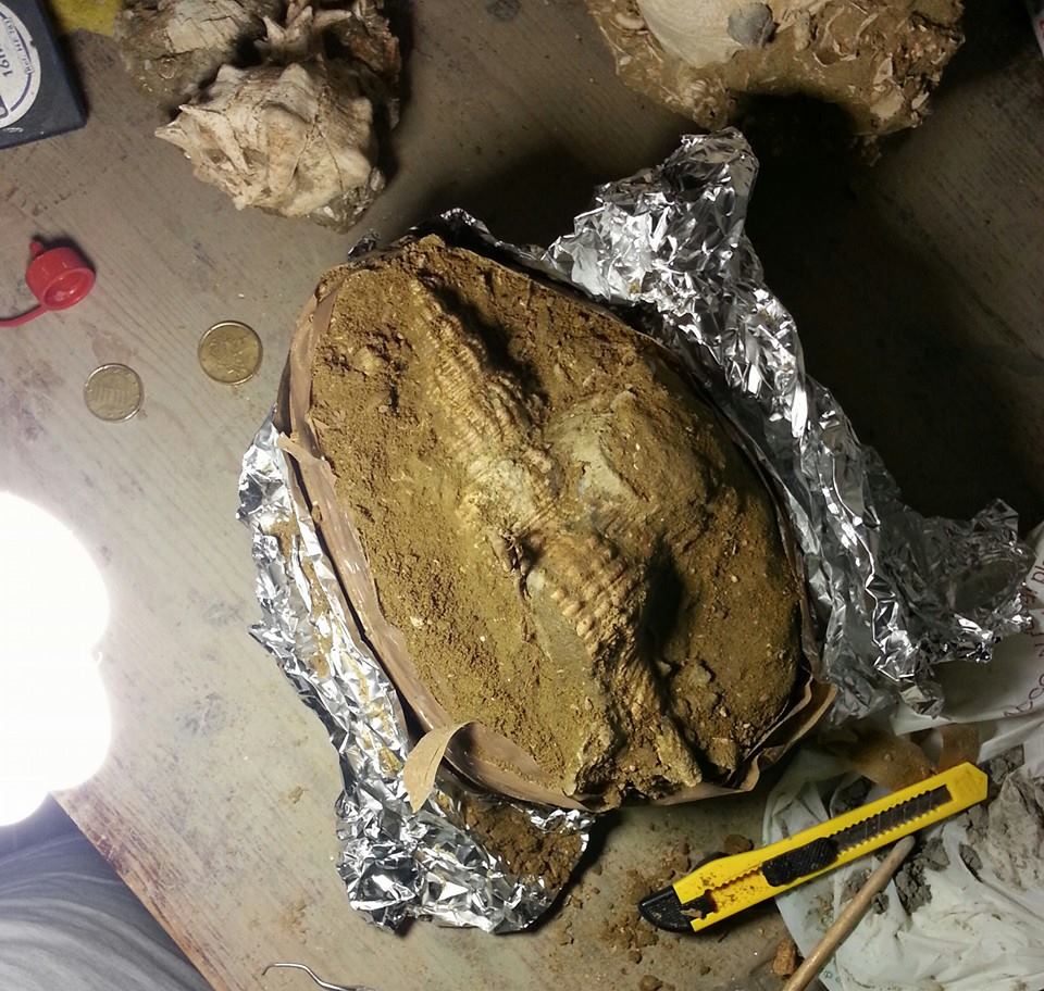 Un pezzo veramente particolare